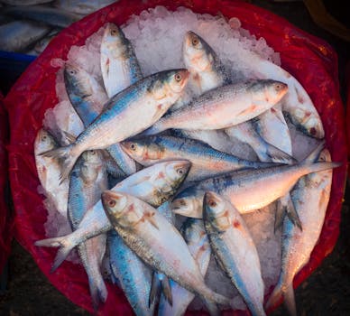Minneapolis Protestuje: Místní Říkají ICE Nejste Vítáni!