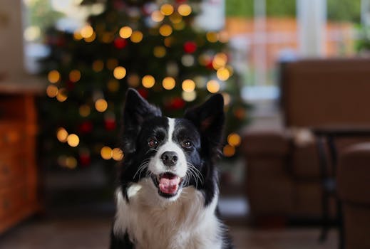 Inflace v ČR Drží Kurz: 2,1% v Prosinci a Její Důvody