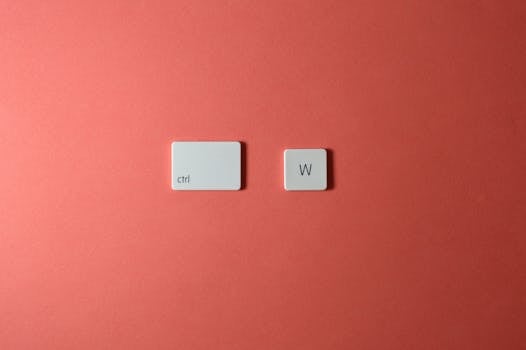 Bílý dům smazal rasistický příspěvek o Obamových