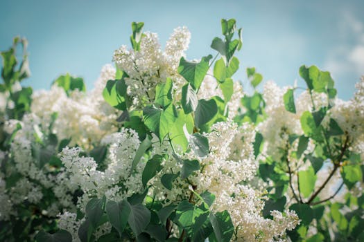 Sněhové komplikace na D1: Vysočina hlásí kolaps dopravy