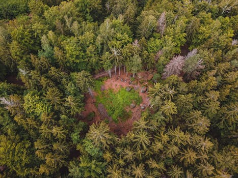 Liberecký kraj koupil Ještěd: Jaký to má význam pro region?