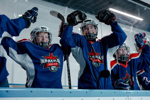 Český tým bojuje o bronz na MS v parahokeji: Historická šance